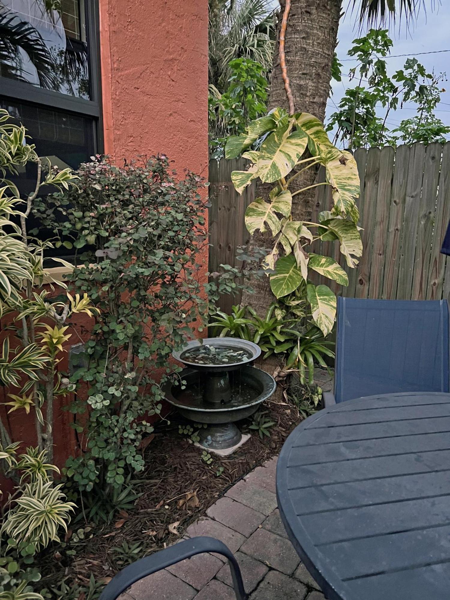 The Cottage At Pineapple House 웨스트 팜 비치 외부 사진